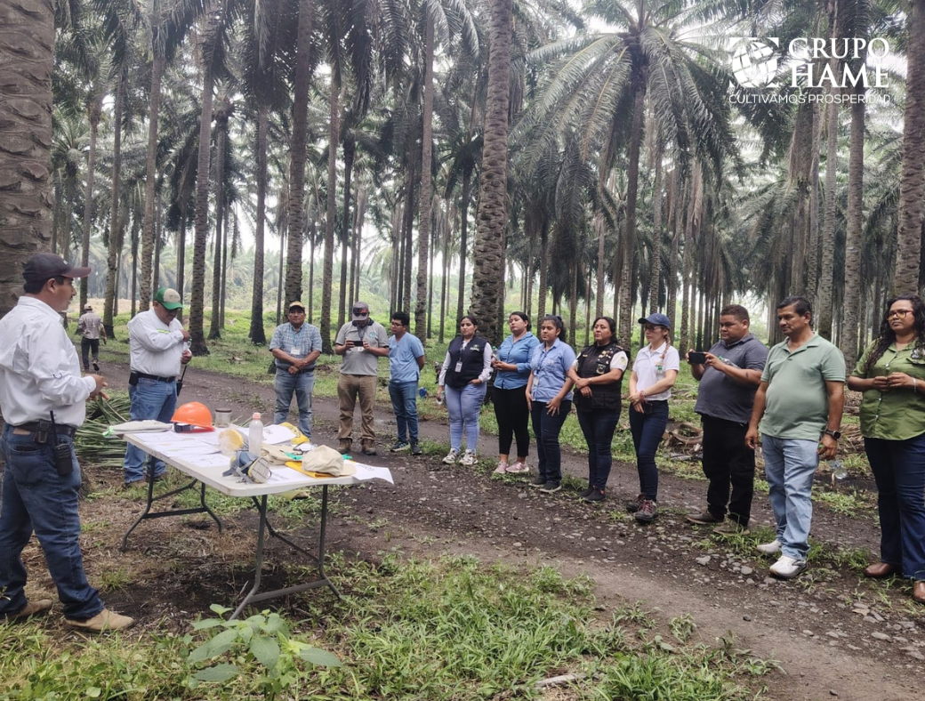 Grupo HAME nutrición