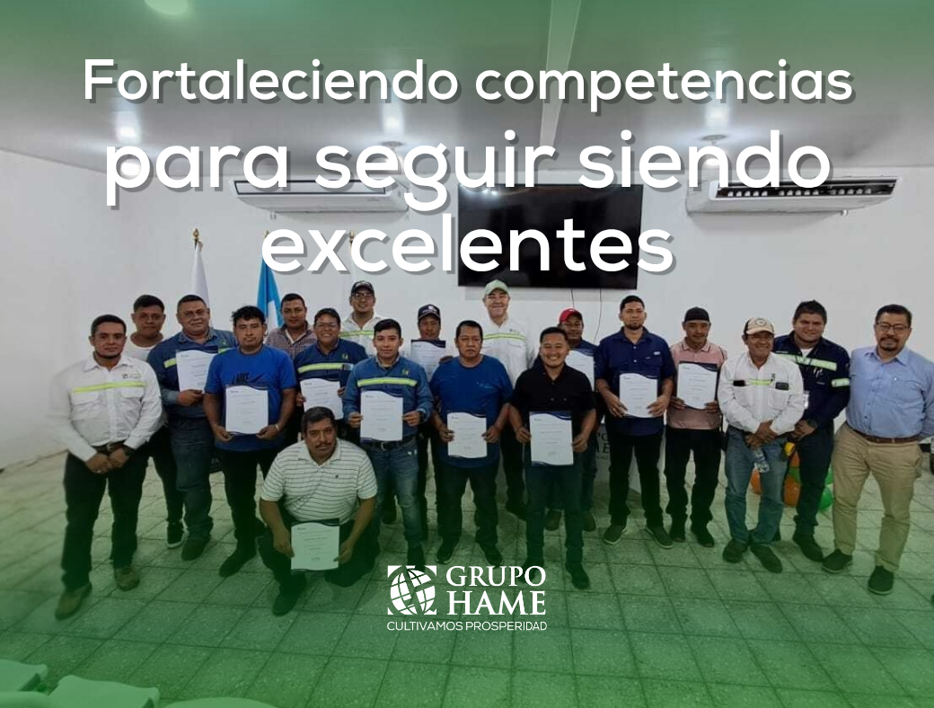 Grupo HAME certificaciones
