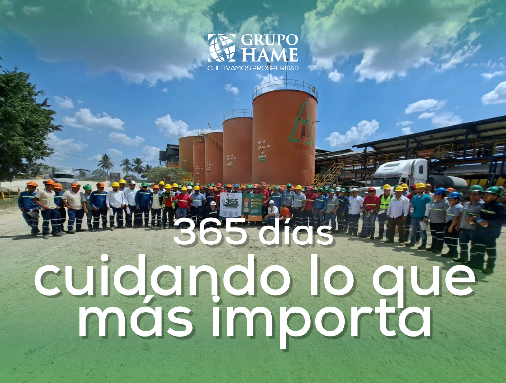 Repsa Grupo HAME