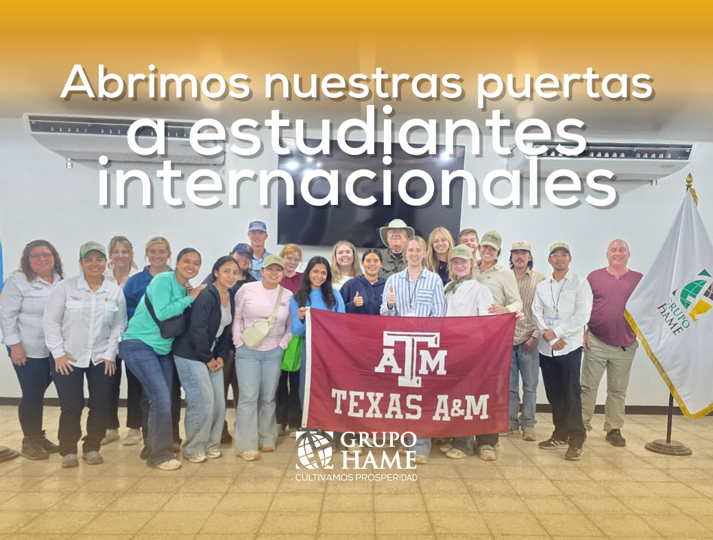 Estudiantes internacionales Grupo HAME